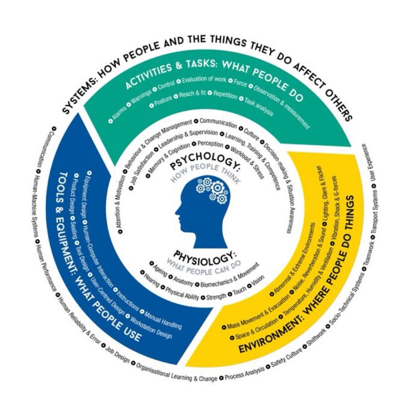 Understanding Human Factors & Ergonomics Infographic.