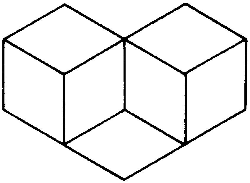 Visual Illusions