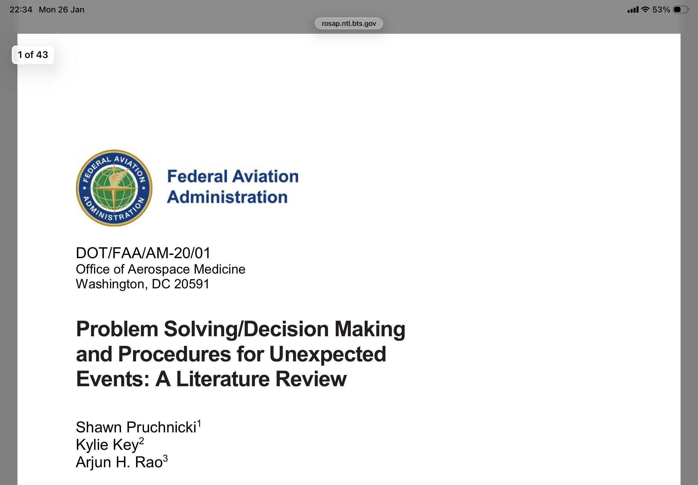 Problem Solving/Decision Making